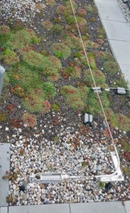 Seilsystem Absturzsicherung